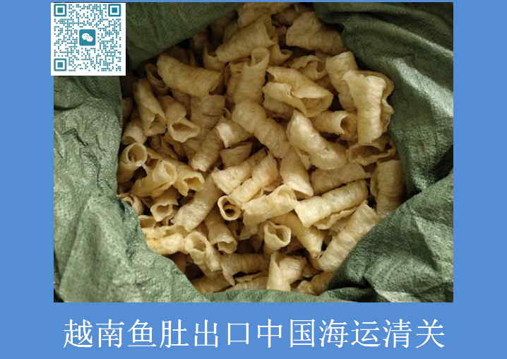 越南魚(yú)肚進(jìn)口清關(guān).jpg