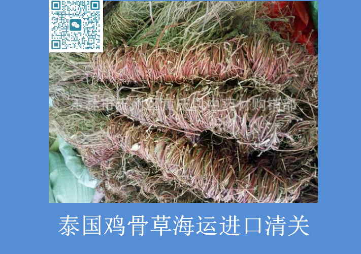 泰國雞骨草海運進(jìn)口清關(guān).jpg