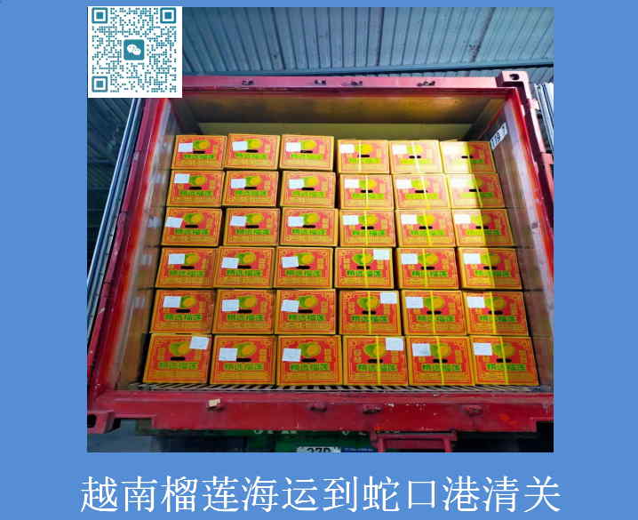 越南榴蓮海運到蛇口港清關(guān).jpg