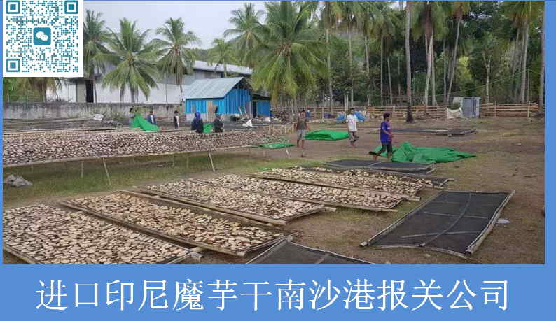 魔芋干南沙港報關(guān)公司.jpg