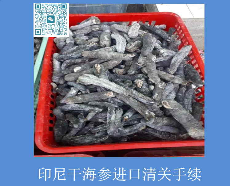 印尼干海參進(jìn)口清關(guān)手續.jpg