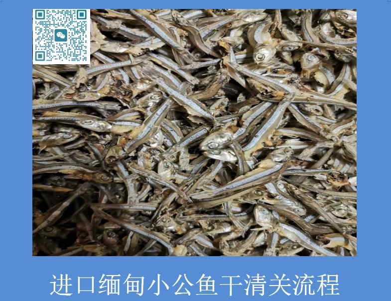 緬甸小公魚(yú)干清關(guān)流程.jpg