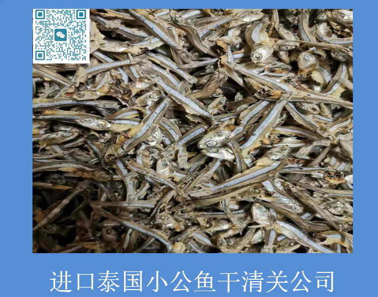 泰國小公魚(yú)干清關(guān)公司.jpg
