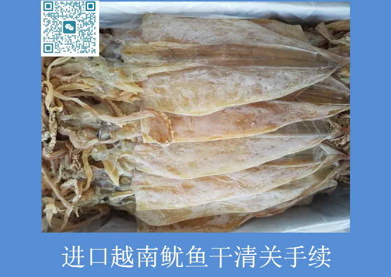 進(jìn)口越南魷魚(yú)干清關(guān)手續.jpg