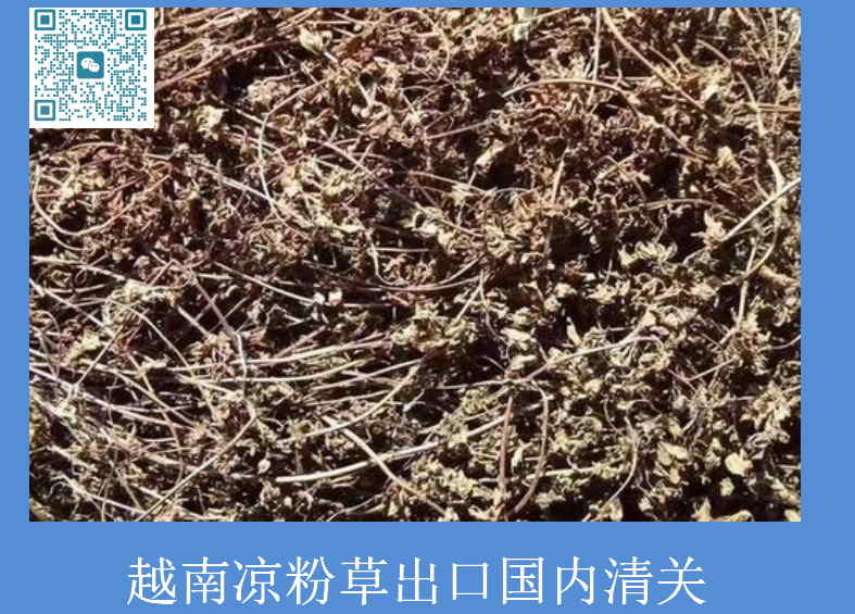越南涼粉草出口國內清關(guān).jpg