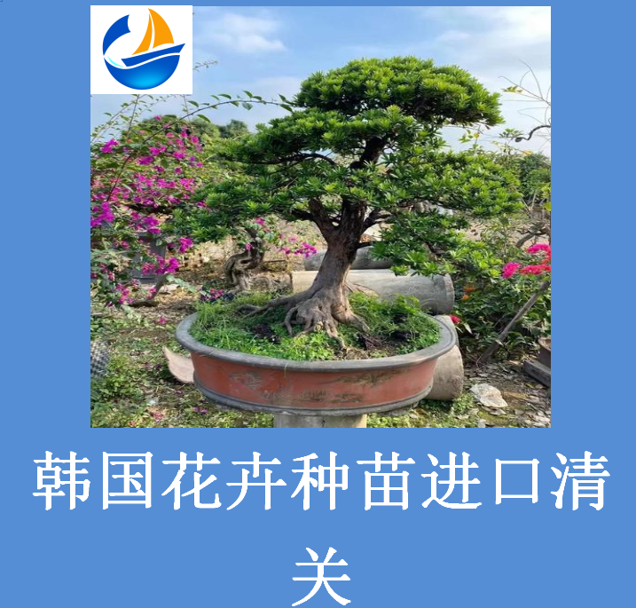 韓國花卉種苗進(jìn)口清關(guān).png