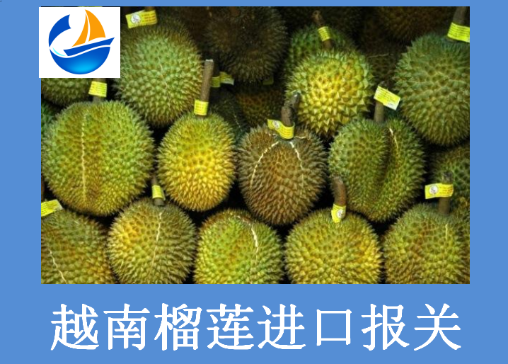 越南榴蓮進(jìn)口報關(guān).png