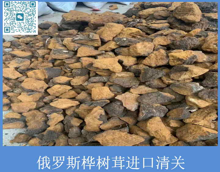 樺樹(shù)茸進(jìn)口清關(guān).jpg