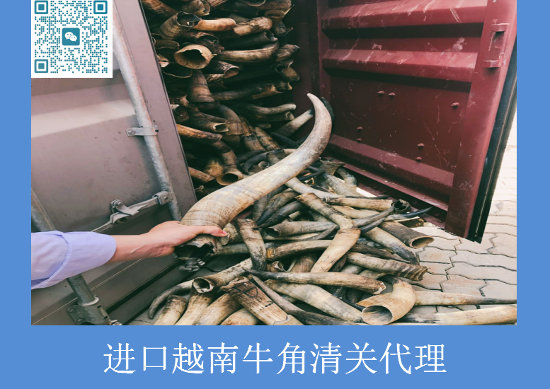 進(jìn)口越南水牛角清關(guān).png