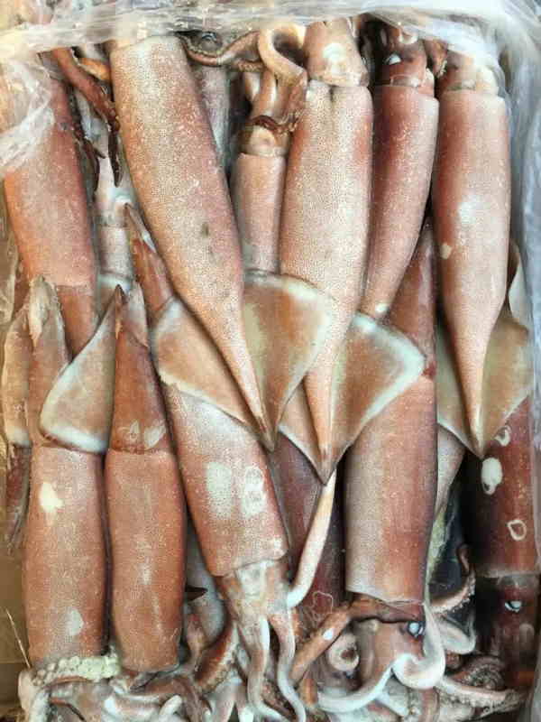 魷魚(yú)清關(guān).jpg